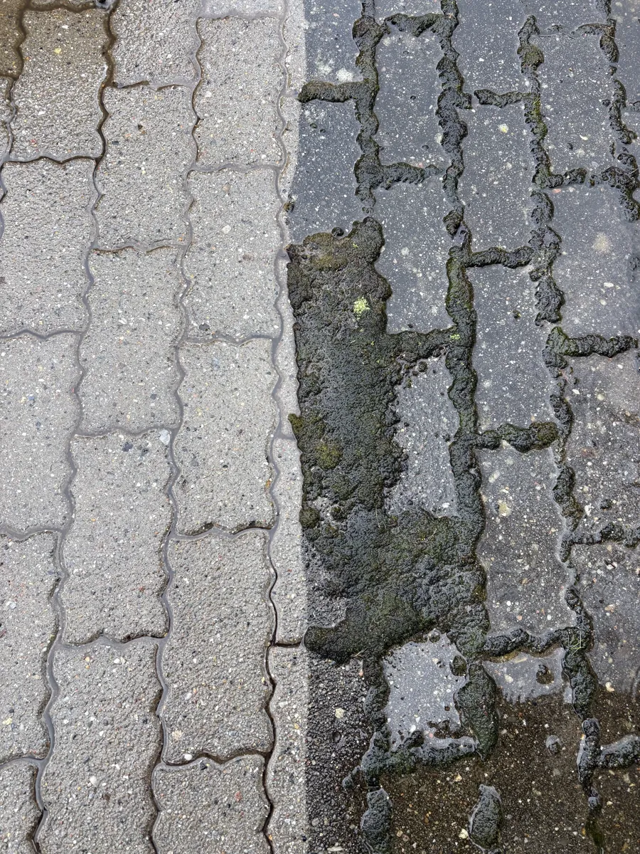 Fliserens — nærbillede