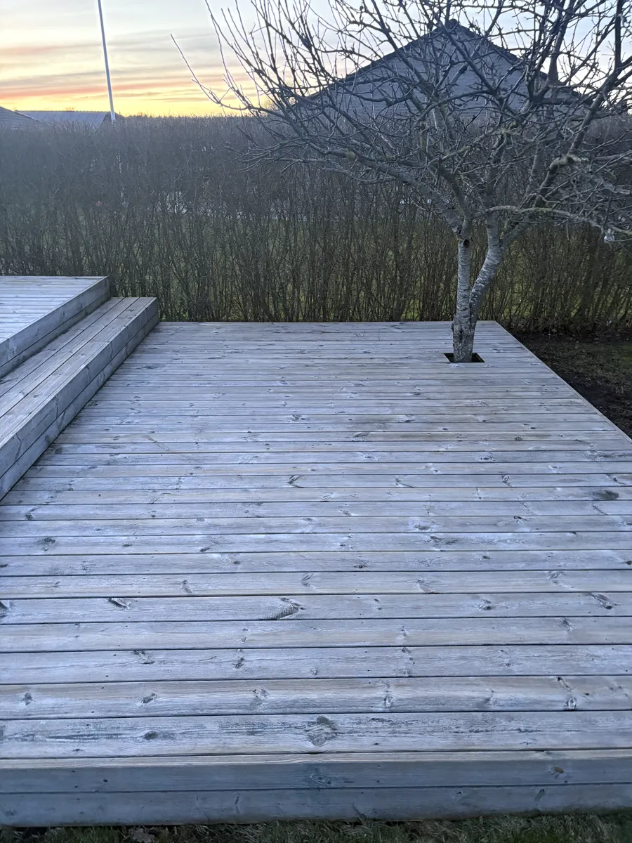 Terrasse — solnedgang